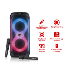 Platinum by Winland Duo Party Jukebox Karaoke and Music Speaker 1600 PMPO DK-65