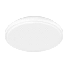 Ecolum by Winland Pepper LED Ceiling Lamp 12 Watts Daylight CCL212DL