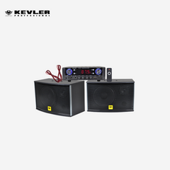 Kevler Kix Audio Dual 4" Portable Bluetooth Speaker 100W with 2 UHF Wireless Mic JAM-300