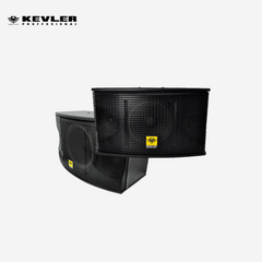 Kevler 2pcs 10" Speaker System for Karaoke Sound Reinforcement 450w each KV-450