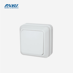 Royu Surface Type 1-Gang Switch 10A (250V) REDSW201