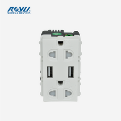 Royu Duplex Universal Outlet with 2 USB Ports RWO12