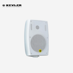 Kevler 6.5inch Wall Mount Speaker with Multi-Tapping (4W, 8W, 15W 30W & 8 OHMS) WS-6T