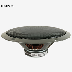 Tosunra by Winland 10-inches High Quality Instrumental Speaker with Screen Unit 300W(8ohms) TOS-1006