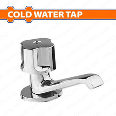 Wadfow by Winland Brass Body Stainless Steel Handle Cold Water Tap Faucet Sink Type & Wall Type