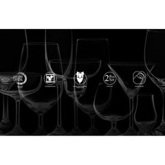 Crysalis Stemware CRY-SW18/2 Long Drink Glass, Stemless Wine Glass 510mL/18oz Set of 2