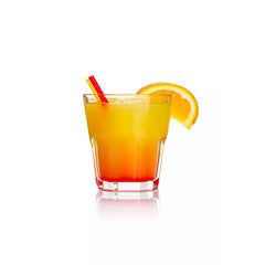 Masflex by Winland 4 Pieces Beverage Drinking Glass Tumbler Set 300mL/10.14oz WW-2012