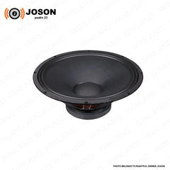 Joson by Winland 15inches Professional Instrumental Full Range Speaker AIRBUS PA-15
