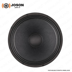 Joson by Winland 15inches Professional Instrumental Full Range Speaker AIRBUS PA-15