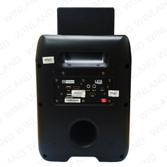 Platinum by Winland PK Karaoke LX15 Party Jukebox with Built-in Screen/Wireless mic 1200W (LX15)