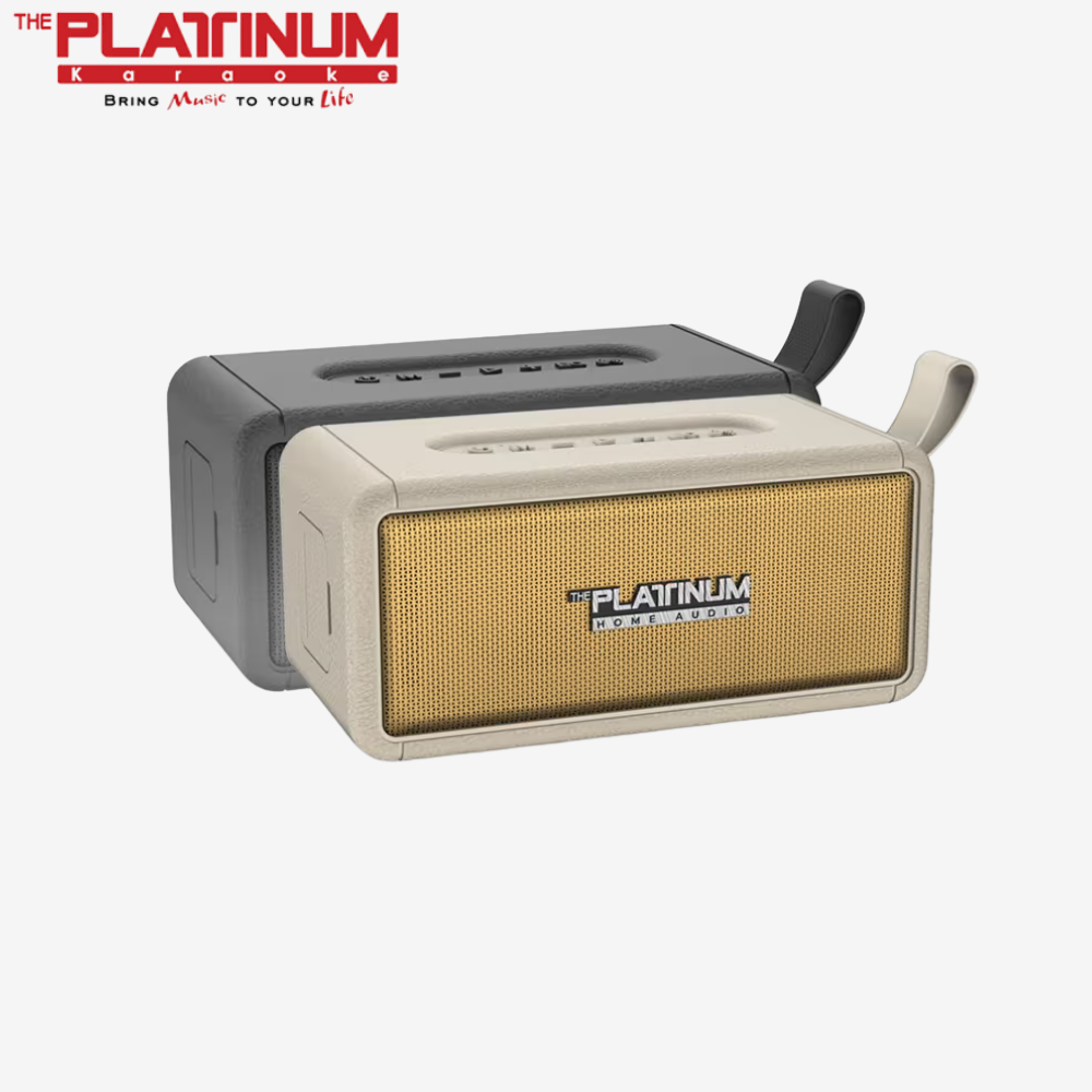 Platinum Apollo Portable Bluetooth Speaker | 40W Wireless Speaker with Power Bank Function, DSP Bass, and IPX6 Water Resistance