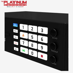 Platinum Reyna 4 Karaoke Player | Professional Karaoke System with Platinum Link App, Treble & Bass Controls, and Song Recording