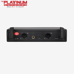 Platinum U20 2-Channel UHF Wireless Microphone System | Dual Handheld Mics with Clear Sound, Long Battery Life & 20m Range
