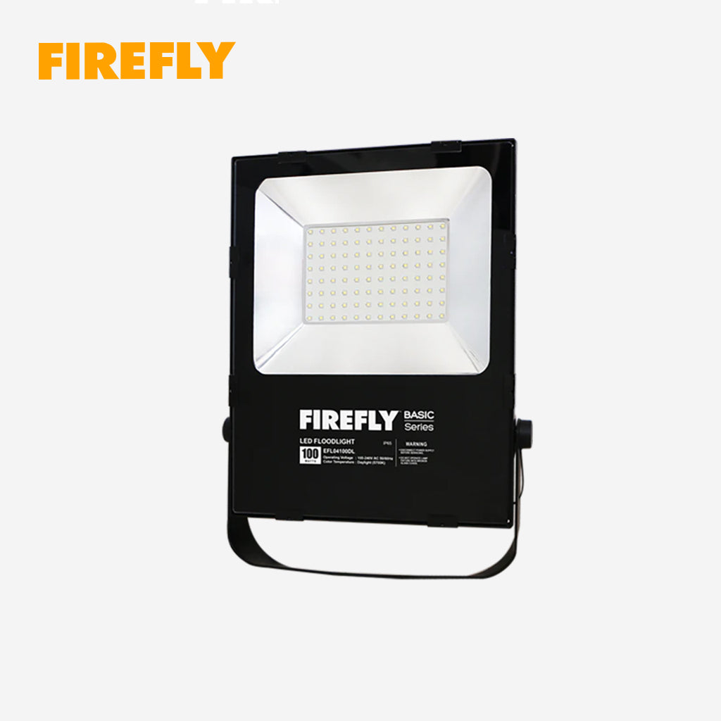 Firefly by Winland Basic Series LED Regular Floodlight ( 100W / 100-240V ) Daylight EFL04100DL