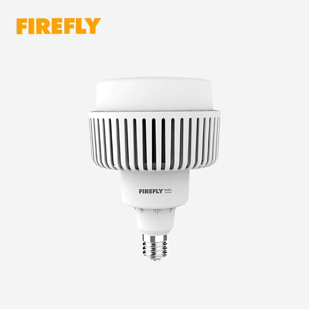 Firefly by Winland Basic Series LED High Power Lamp Light 100W Daylight E40 EHC1100DL