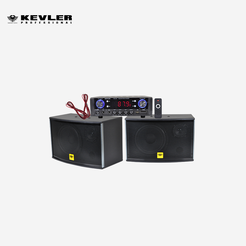 Kevler Kix Audio Dual 4" Portable Bluetooth Speaker 100W with 2 UHF Wireless Mic JAM-300