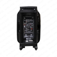 Crown 1pc Instrumental Speaker System 12 I12v DC 2 Wireless Mic Bluetooth/USB/SD Port/FM - Winland Depot