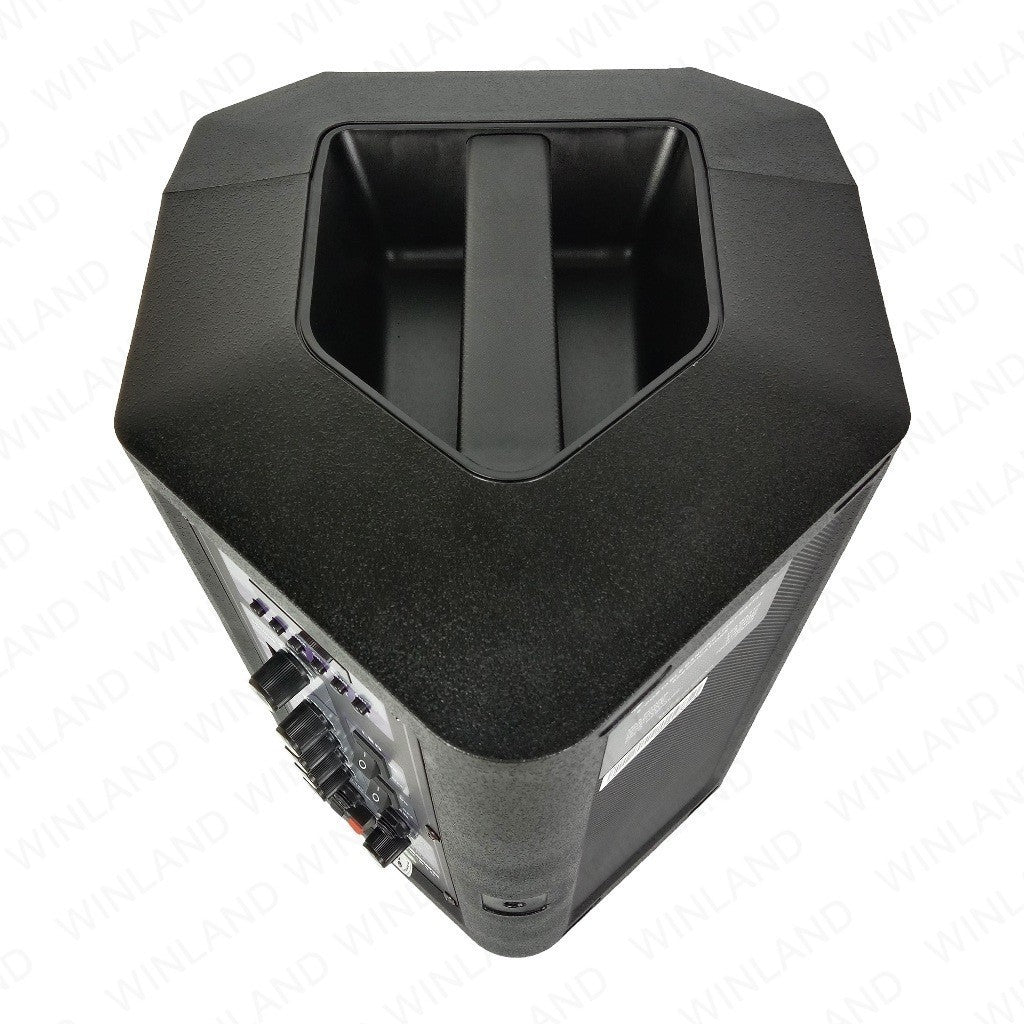 Crown Portable Dancing Light Speaker with BT/USB/FM/AUX & Wireless Microphone PD - 810 - Winland Depot