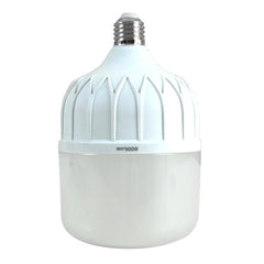 Ecolum 30 Watts 6500K Daylight E27 LED Capsule Bulb CHC2030DL - Winland Depot