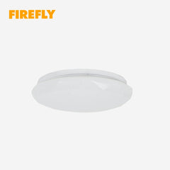 Ecolum Ceiling Lamp 18 Watts Daylight CCL318DL - Winland Depot