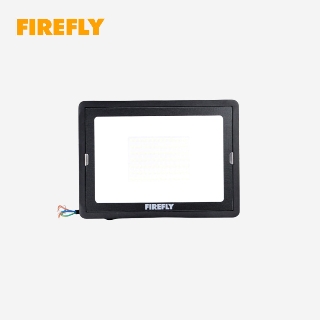 Firefly 70W to 200W Terra Floodlight Daylight - Winland Depot