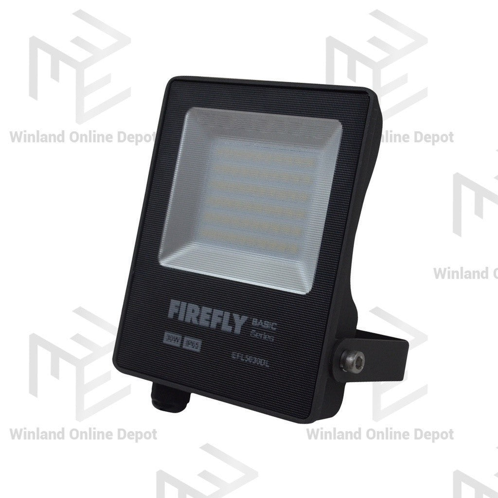 Firefly Floodlight 30W Outdoor Basic Daylight EFL5030DL - Winland Depot