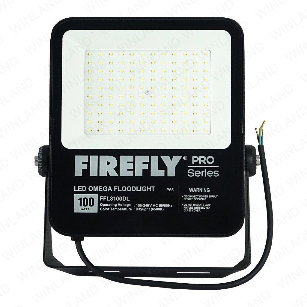 Firefly PRO Series LED Omega Floodlight ( 100W / 100 - 240V AC ) Daylight FFL3100DL - Winland Depot