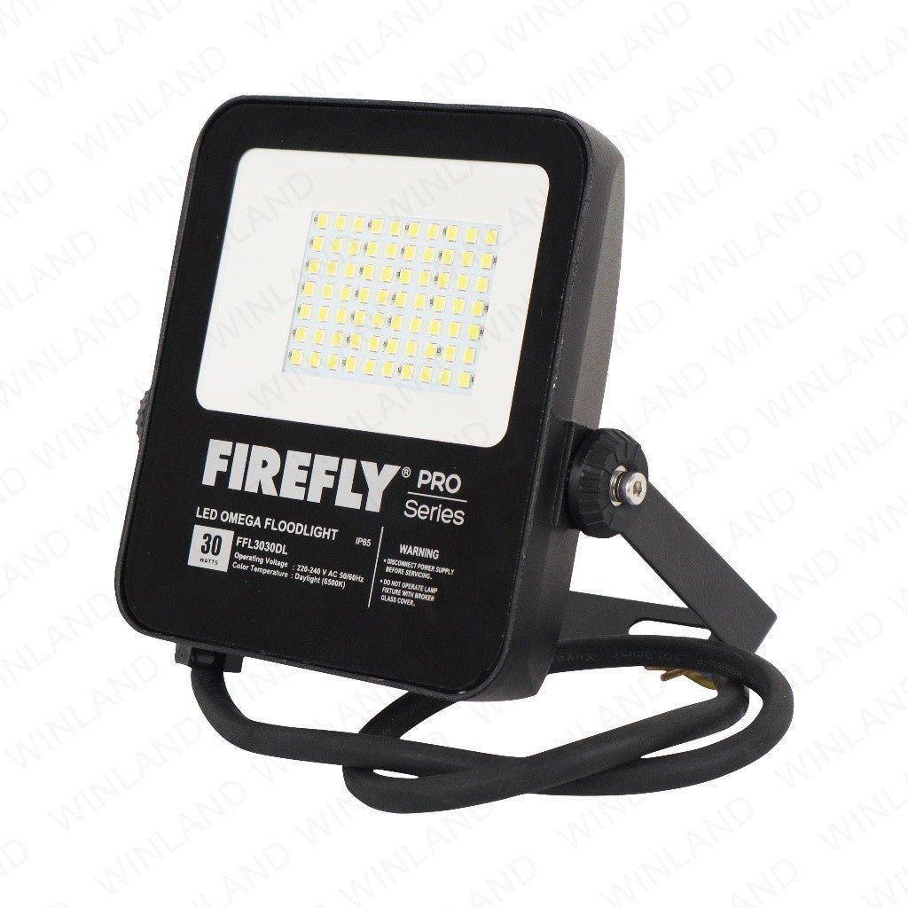 Firefly PRO Series LED Omega Floodlight ( 10W - 50W / 220 - 240V ) Daylight - Winland Depot