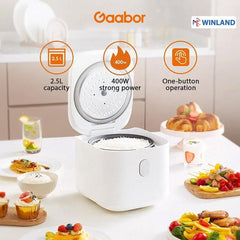 Gaabor Rice Cooker 2.5L Capacity 400W Strong Power Non - stick Coating One Button Operation - Winland Depot