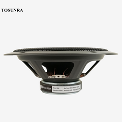 Tosunra by Winland 10-inches High Quality Instrumental Speaker with Screen Unit 300W(8ohms) TOS-1006