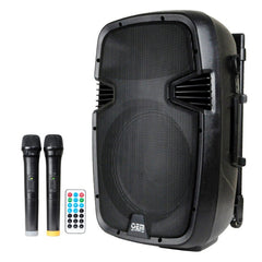 Winland Audio 12" Active Speaker Audio with USB, SD, Bluetooth, FM & FREE Mic 500W MA12ADP *WINLAND*