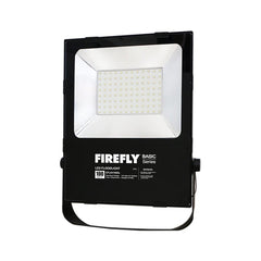 Firefly by Winland Basic Series LED Regular Floodlight ( 100W / 100-240V ) Daylight EFL04100DL