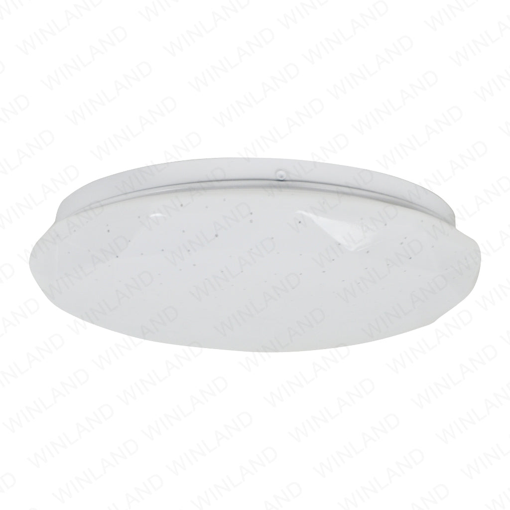 Ecolum by Winland Classic LED Ceiling Lamp 12 Watts Daylight CCL112DL