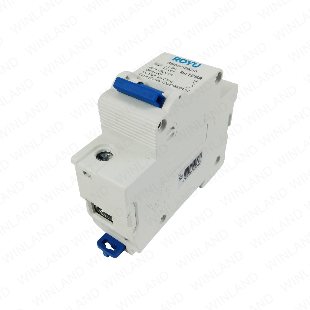 Royu by Winland Single phase Miniature Circuit Breaker 1Pole (DIN Rail Type) 125A 4KA RMB1P125C10