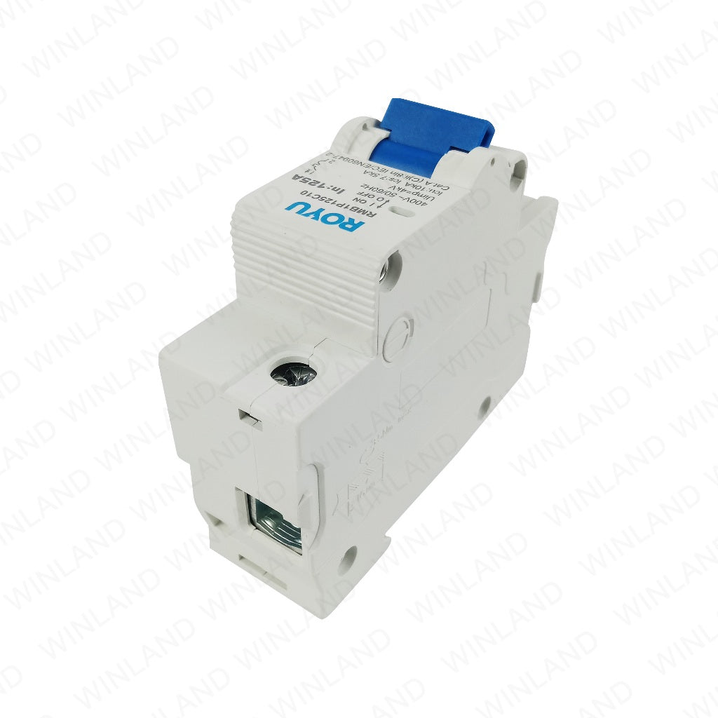 Royu by Winland Single phase Miniature Circuit Breaker 1Pole (DIN Rail Type) 125A 4KA RMB1P125C10