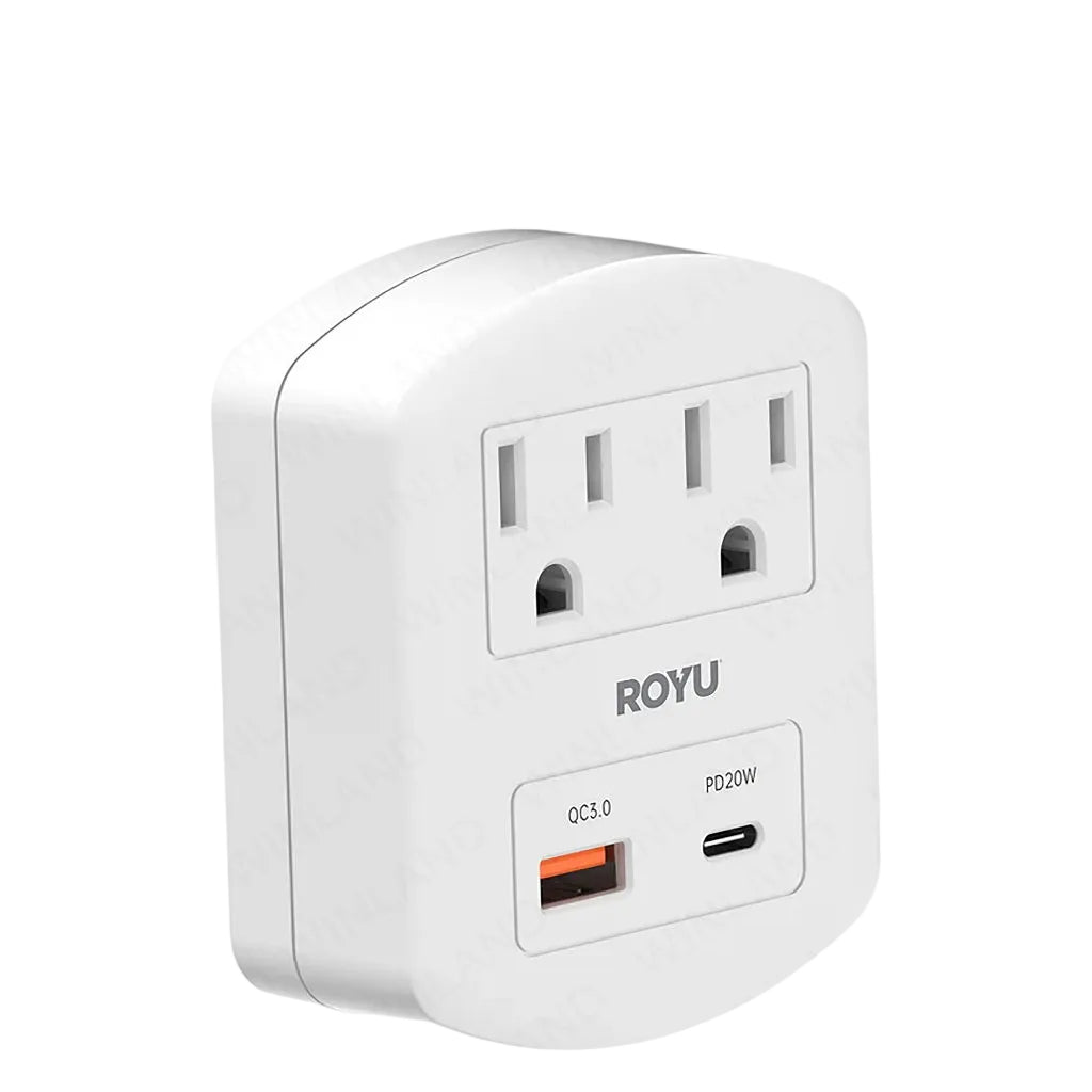 Royu by Winland 2-Gang Wall Adapter With Fast Charging 2 USB Ports 10A/250V RWA101